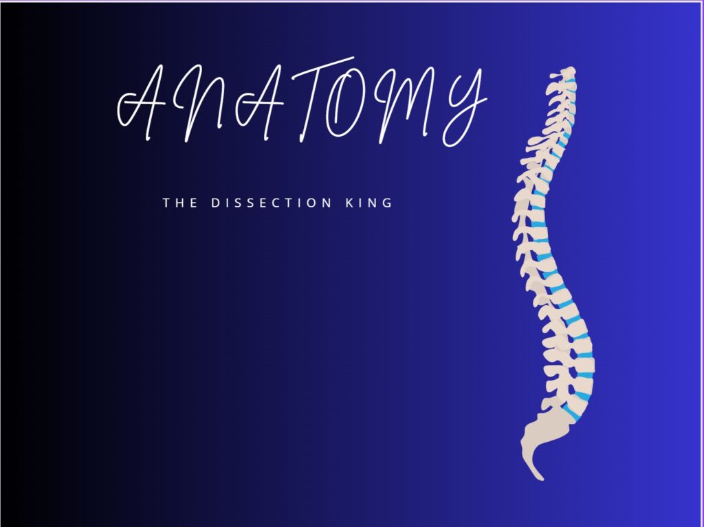 Anatomy Thesis Topics for MS/DNB